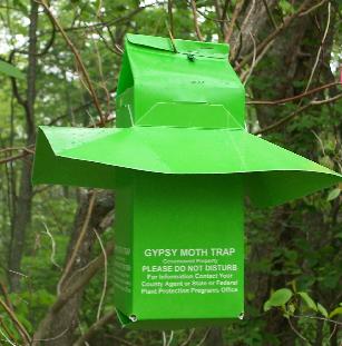 Gypsy Moth Traps - CLARE CONSERVATION DISTRICT